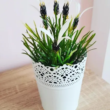 Apartmán Ld U Strogom Centru Novi Sad